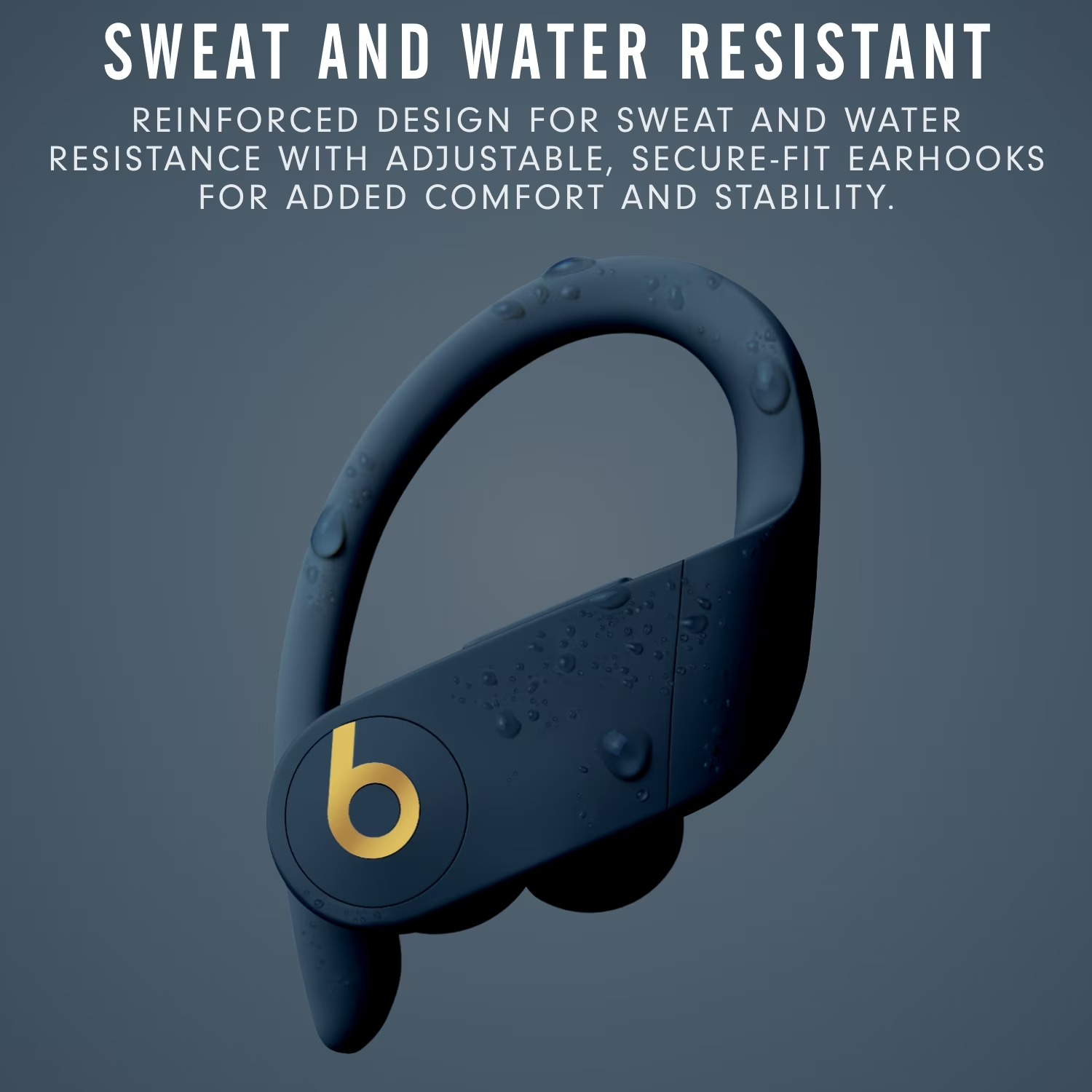 Beats Powerbeats Pro In-Ear Wi - đánh giá và giá Beats Headphone Powerbeats Pro