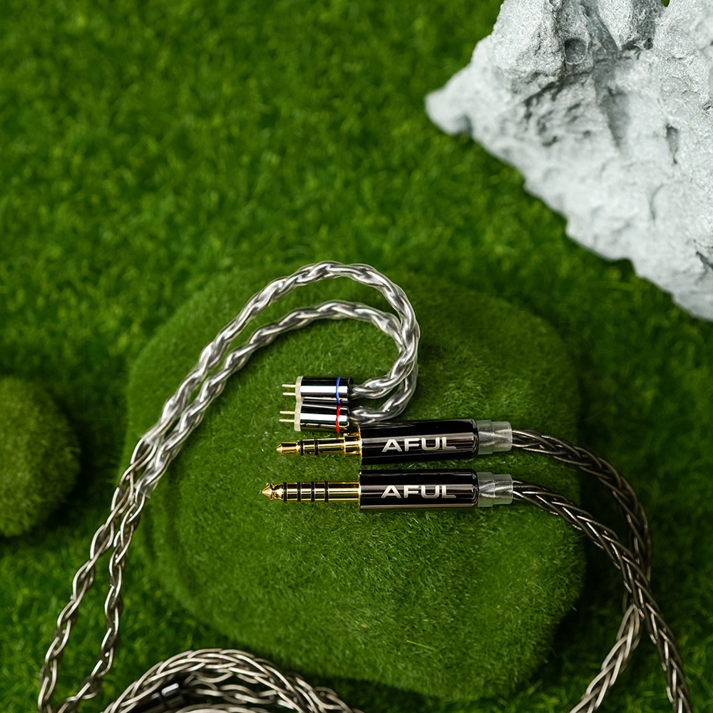Tai nghe kiểm âm trong tai AFU - đánh giá và giá In Ear Monitor Iem